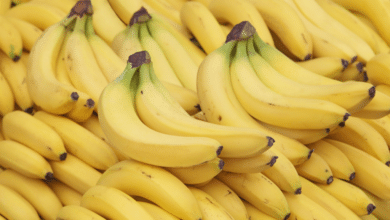 Plátanos chiapanecos, el producto con mayor demanda en ventas internacionales