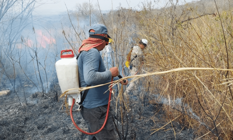 Se reducen superficies quemadas en Chiapas