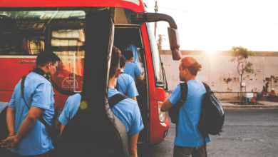 Transporte turístico impulsa el desarrollo nacional y al turismo interno