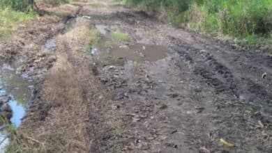 Destrozados los caminos sacacosechas del Soconusco
