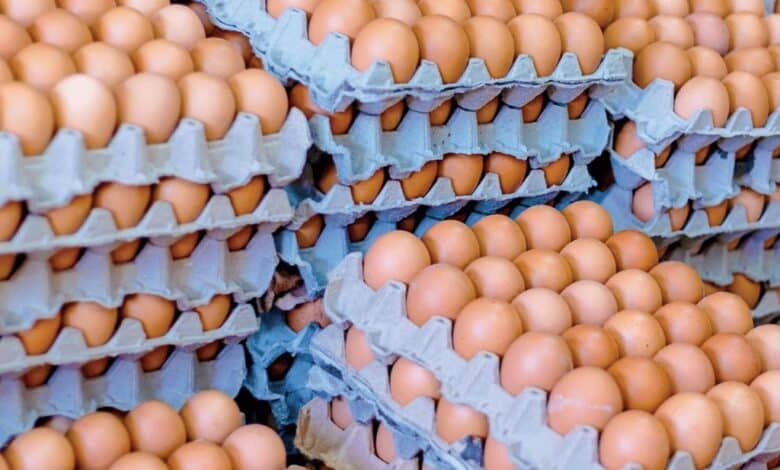Productores venden huevo 30% más barato, consumidores lo pagan igual