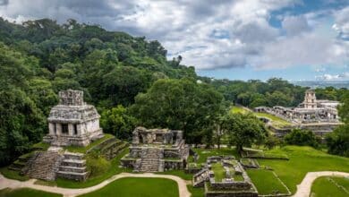 Miles de turistas visitaron Palenque, se  espera lleguen más