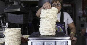 Se estabiliza el precio de la tortilla en Chiapas
