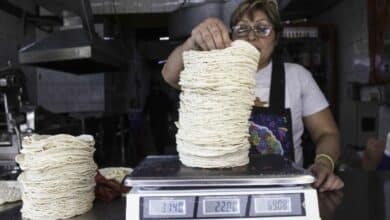 Se estabiliza el precio de la tortilla en Chiapas