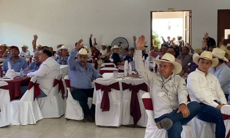 Importante crecimiento el de la Unión Ganadera