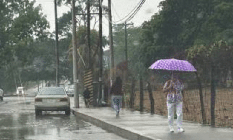 Tapachula, en el Soconusco; sus primeras lluvias apaciguan un poco el calor