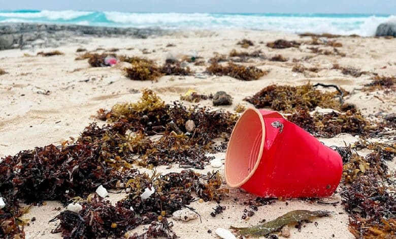 Hoteles del norte de Quintana Roo emprenden acciones contra la generación de residuos plásticos