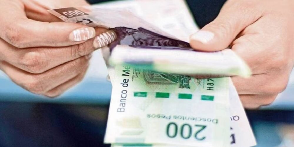 Repartod e utilidades 2024: ¿Cómo saber si se generó utilidades?