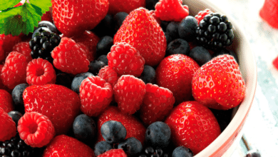 Frutos rojos mantiene joven el cerebro