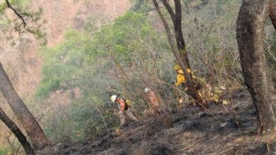 En Chiapas, se combaten 15 incendios de manera simultánea