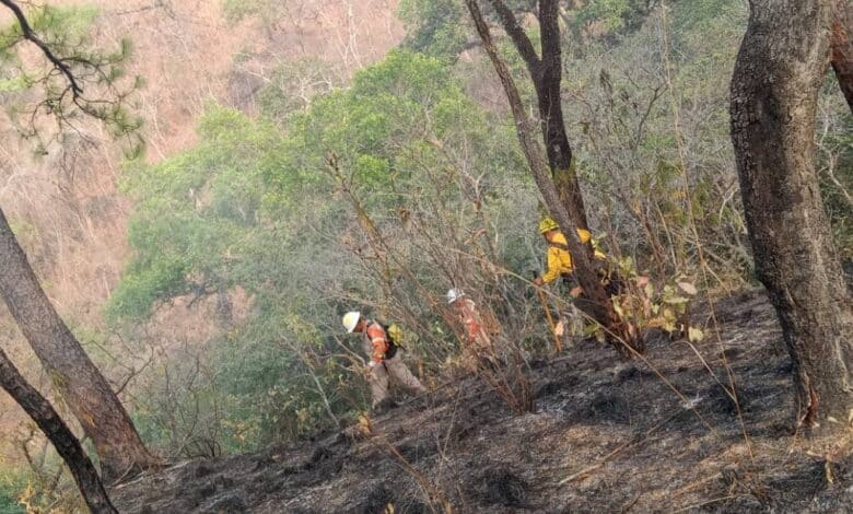 En Chiapas, se combaten 15 incendios de manera simultánea