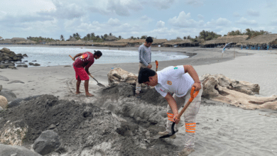 Localizan delfín muerto en playas de Tapacula