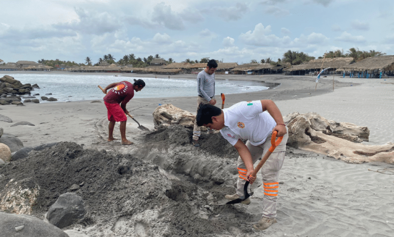 Localizan delfín muerto en playas de Tapacula