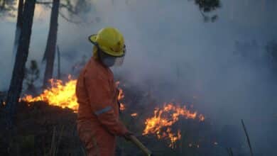 En Chiapas se combaten 20 incendios forestales
