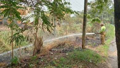 Protección Civil atiende incendio de pastizales en Chiapas