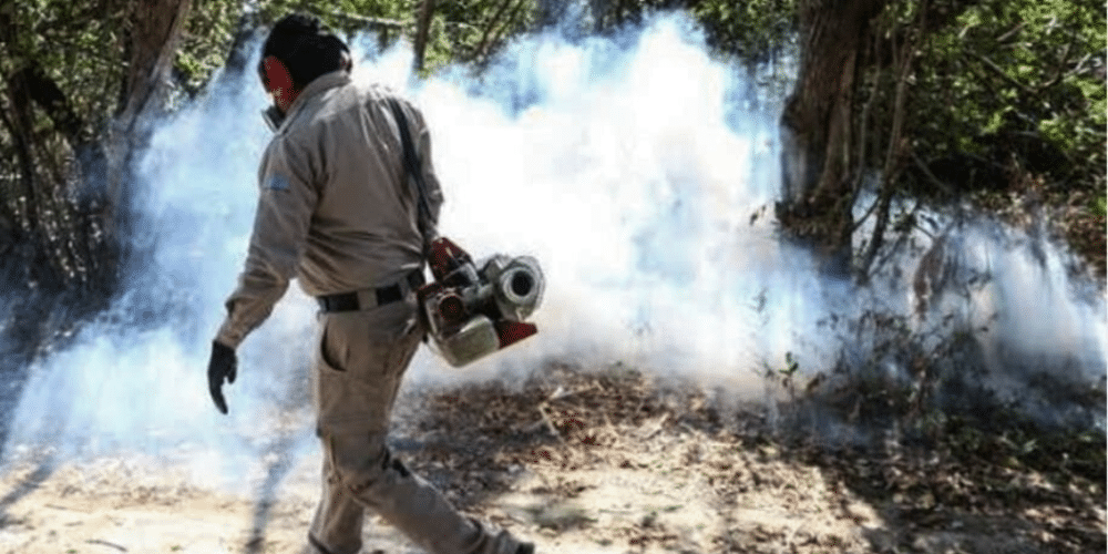 Aumentan casos de dengue en todo Soconusco: ALJD