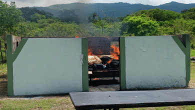 SEMAR realizan importante decomiso de sustancias ilícitas en Chiapas