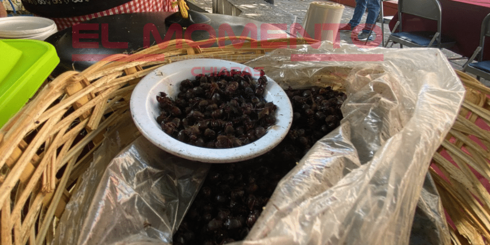 Un éxito la Expo Feria Gastronómica del Nucú en Tuxtla Gutiérrez