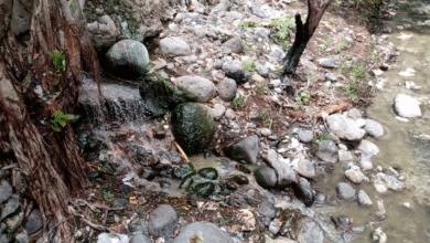 Buscan rescatar dos ríos contaminados en Tapachula