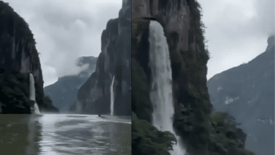 Video: Aparecen cascadas sobre el Cañón del Sumidero tras las lluvias