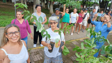 MOPAZ dona arboles para promover la reforestación en Chiapas