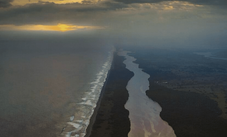 El Madresal el sitio perfecto para explorar la riqueza natural de la costa chiapaneca