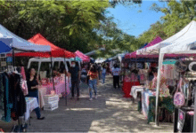 Los bazares convertidos en fuentes de economía familiar en Chiapas