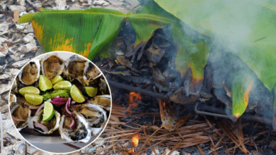Ostiones ahumados al tapesco, delicia culinaria de Tabasco
