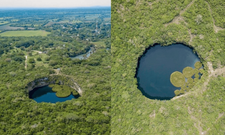 ¿Sabías que el cenote más grande del mundo esta en Tamaulipas? Conoce el Zacatón