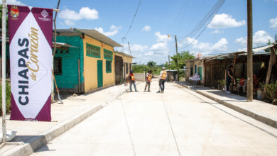 Seguimos rehabilitando las calles de Tapachula: Gladiola Soto