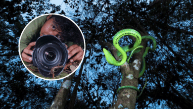 El chiapaneco gana concurso de fotografía en el 3er Festival Mexicano de las Serpientes