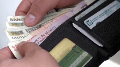 Crece economía de 20 entidades del país en primer trimestre de 2024