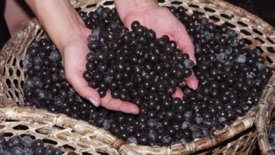 Esta es la fruta amazónica que aumenta el deseo sexual