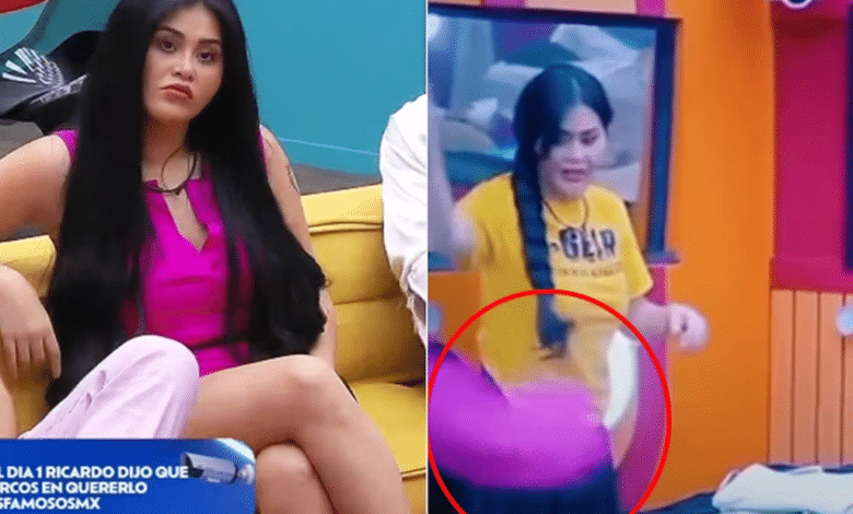 VIDEO: Gomita tira al suelo el vestido que Briggitte Bozzo le obsequió - El  Momento Chiapas