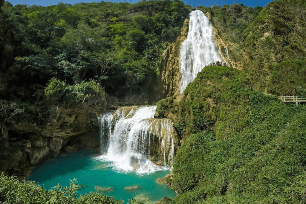 Estos son los mejores paisajes de Chiapas – El Momento Chiapas