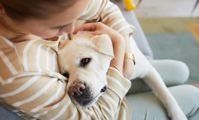El olor de tu estrés afecta a tu perro