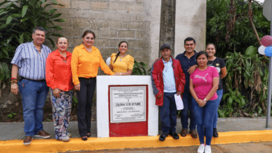 Pavimentan otra calle en la colonia 12 de octubre