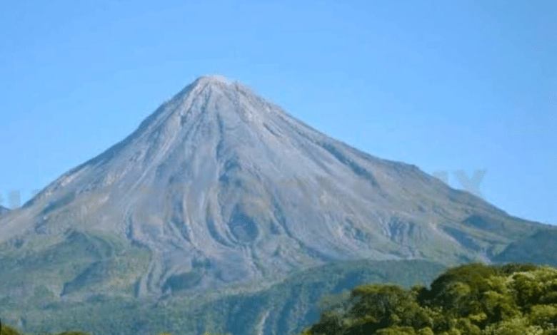 Peligran las reservas de la biósfera en el Soconusco