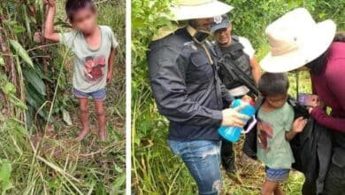 Video. Localizan a niño perdido desde el 5 de octubre en la selva de Campeche