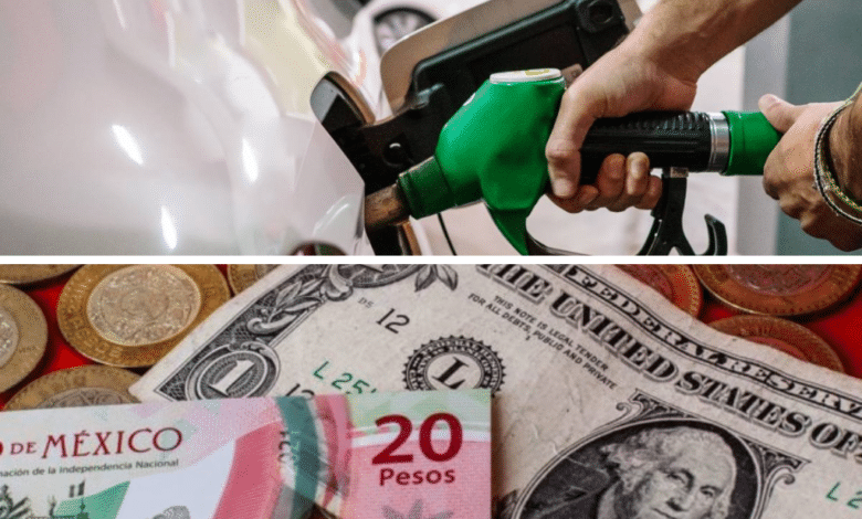 Precio de la gasolina y dólar hoy, 05 de noviembre en México