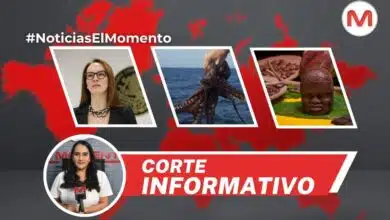 Estas son las noticias más importantes de hoy jueves 14 de noviembre con Erika González