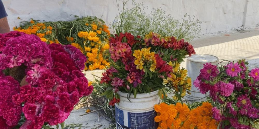 Este año si hubo flores y la venta aminoró en los panteones