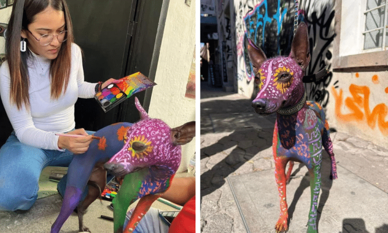 Transforma a su perrita xoloitzcuintle en obra de arte para el Día de Muertos