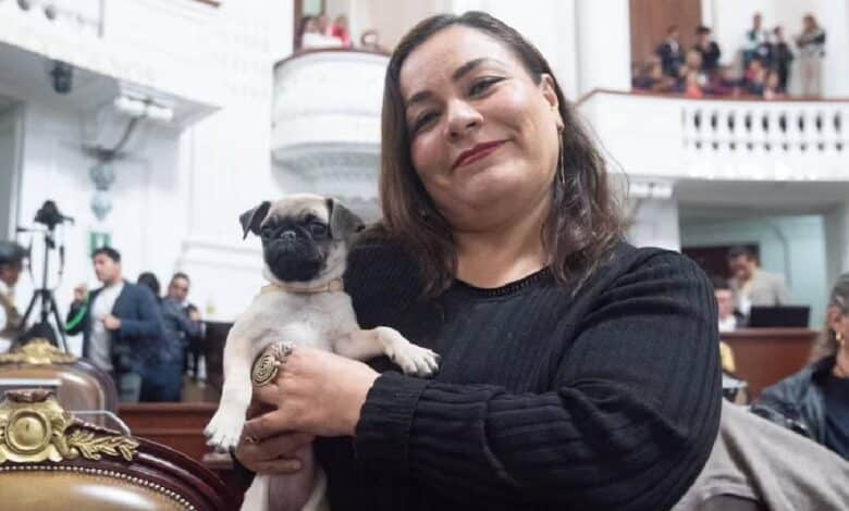 Diputada de Morena busca que negocios de CDMX sean pet friendly