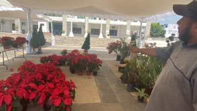 La “Nochebuena” llegó a Tuxtla Gutiérrez