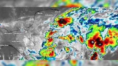 Actualización sobre la Tormenta Tropical Sara: Afectaciones y Alertas en Quintana Roo y el Sureste de México