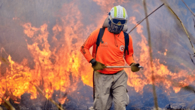 Emite Gobierno estatal exhorto a ayuntamientos para reducir riesgos de incendios forestales