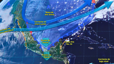 Frente Frío No. 24 originará una fuerte onda fría y vientos intensos en el litoral del Golfo