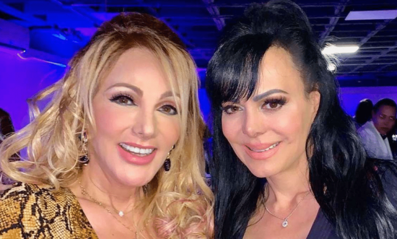 Olivia Collins apoya que Maribel Guardia tenga a su nieto con ella