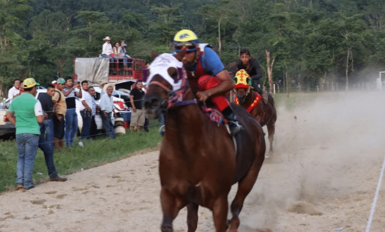 Posible prohibición de carreras de caballos y peleas de gallos en Chiapas